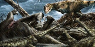 Phát hiện vùng tử thần nguy hiểm nhất Trái đất: “Thánh địa quái thú”