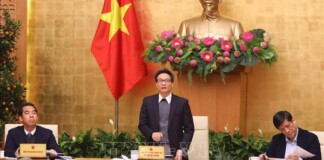 Phó Thủ tướng: ‘Không cần thanh tra, rút giấy phép ngay lập tức cửa hàng bán khẩu trang tăng giá!’