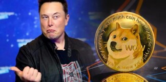 Quyết “phù phép”, sống mái với Dogecoin, Elon Musk đề xuất dùng đồng token này để trả dịch vụ Twitter, giá lại lên “phi mã”