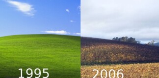 Sự thật bất ngờ phía sau ‘ảnh nền huyền thoại của hệ điều hành Windows XP’