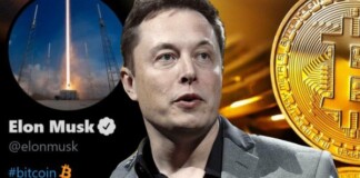 Tesla mất sạch lãi khi Bitcoin giảm còn 30.000 USD, Elon Musk vội vàng ‘hà hơi thổi ngạt’ để chặn đà lao dốc