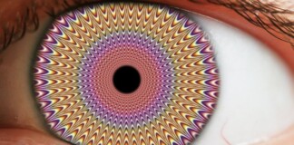 “Thực tại” mà chúng ta đang thấy thực ra chỉ là những ảo giác?