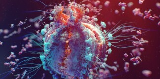 Tìm hiểu về Virus – Những thực thể “sống lỗi” nhất trên Trái Đất