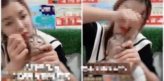 Trang điểm cho khỉ trên sóng để quảng cáo bán kem trộn, mỹ phẩm, nữ streamer khiến CĐM phẫn nộ