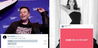 Từ Elon Musk đến Ngọc Trinh: Cơn sốt tiền ảo đầy cạm bẫy