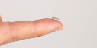 Vào ngày 28/8 tới, con chip máy tính được gắn thẳng vào não bộ do Elon Musk hậu thuẫn sẽ được cập nhật