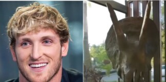 YouTuber nổi tiếng chơi trội, bỏ 12 tỷ mua hộp sọ khủng long 66 triệu năm tuổi về trưng bày