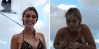 Hot girl nổi tiếng gần 60 triệu view bất ngờ “bùng nổ” lượt xem, gặp tai nạn khó đỡ với chim mòng biển